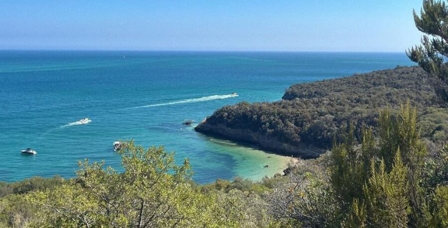 Lisbon: Arrábida & Sesimbra w/ Palmela Castle & Wine Tasting - Who this tour fits best