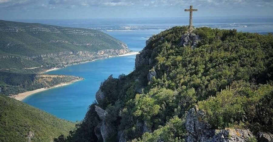 Lisbon: Arrábida & Sesimbra w/ Palmela Castle & Wine Tasting - José Maria da Fonseca: the winery stop that feels like more than a tasting