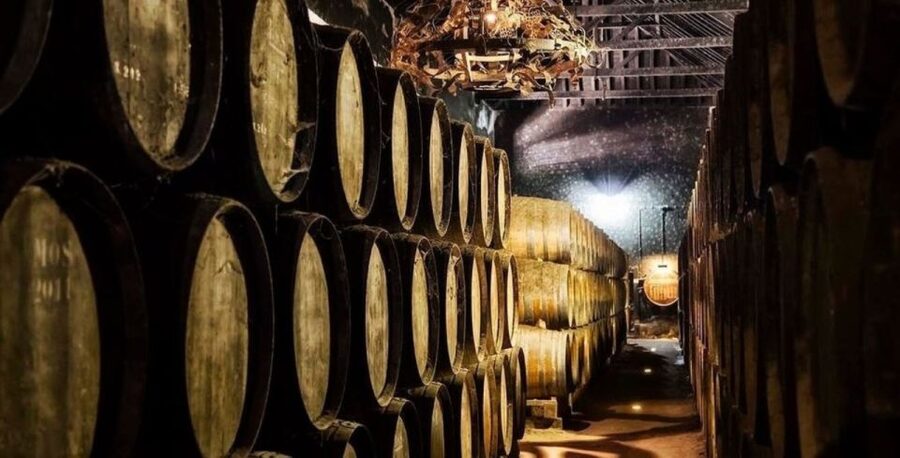 Lisbon: Arrábida & Sesimbra w/ Palmela Castle & Wine Tasting - Price and value: is $85 a fair deal here?