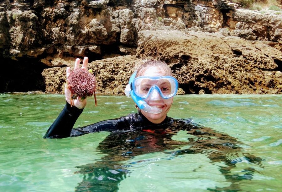 Lisbon: Arrábida Snorkeling Adventure - Key Things You’ll Notice on This Arrábida Tour