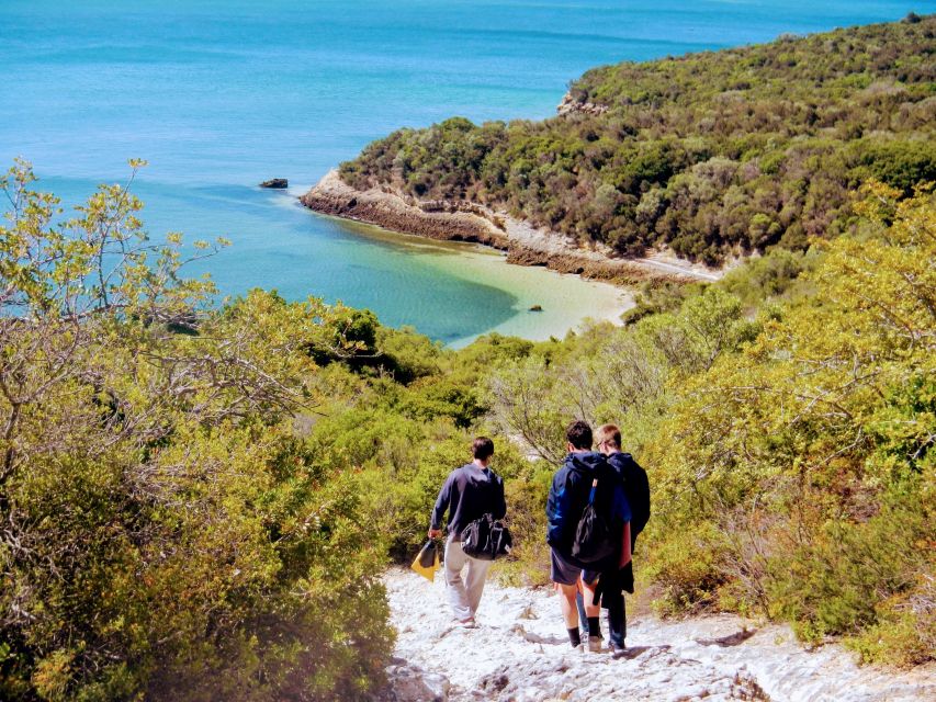 Lisbon: Arrábida Snorkeling Adventure - Arrábida in 5 Hours: Why This Mix Works