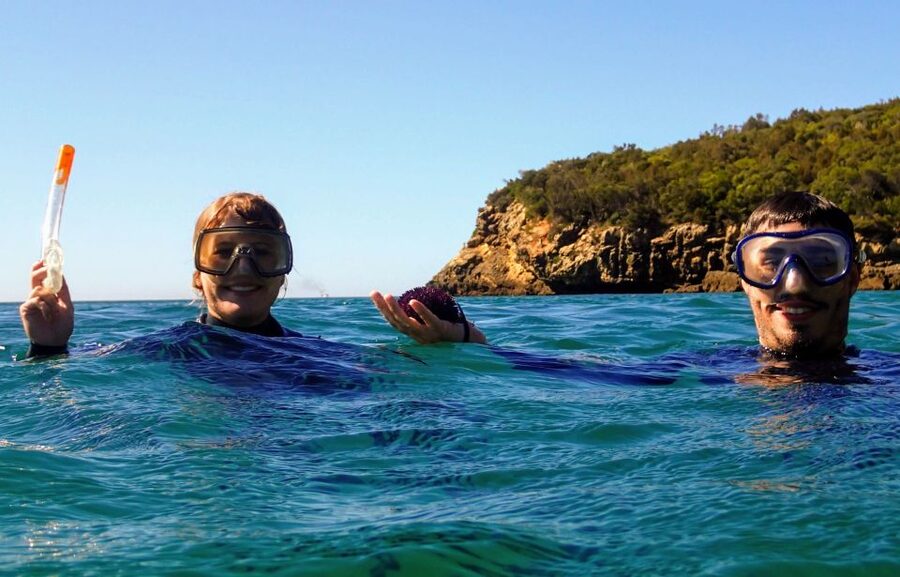 Lisbon: Arrábida Snorkeling Adventure - Fossil Cliffs and Coastal Caves: What You’re Seeing Above the Water