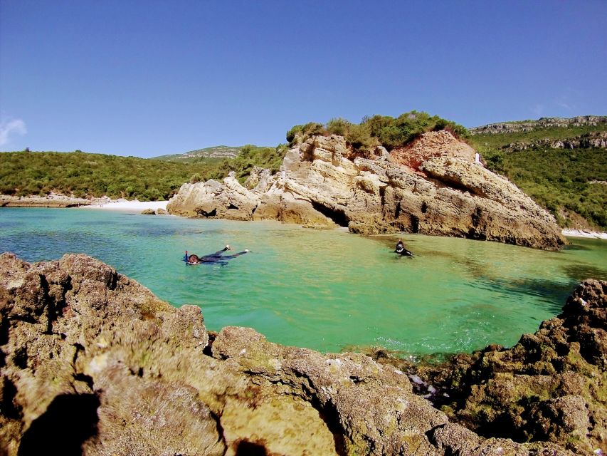 Lisbon: Arrábida Snorkeling Adventure - Guide Support Matters: English, Portuguese, Spanish, and Felipe’s Timing