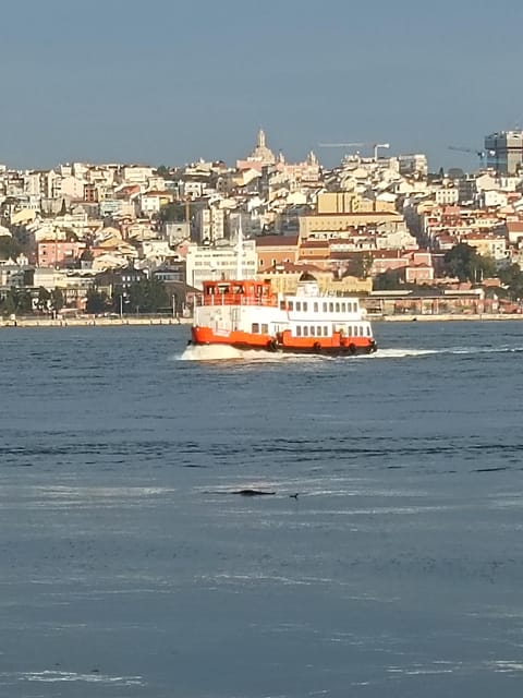 Lisbon: Belem, Jeronimos Monastery, and Coach Museum Tour - Logistics that matter: timing, shoes, and how to make the most of the day