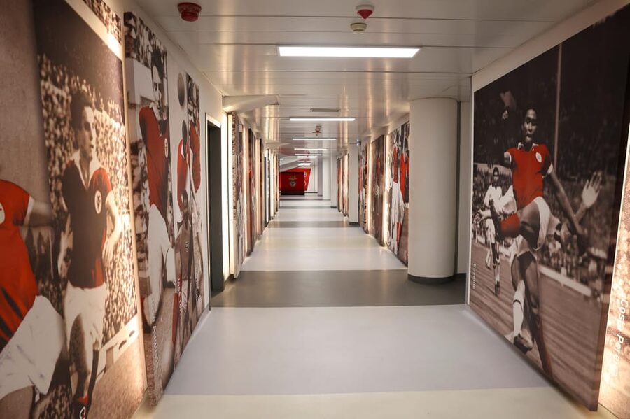 Lisbon: Benfica Luz Stadium Tour with Souvenir Scarf - Meet Victoria and Gloria, Plus the Eagles Moments
