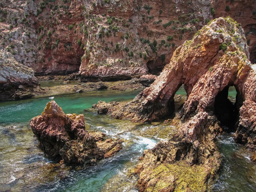 Lisbon: Berlenga Island Full Day Tour - Who Should Book This Berlenga Day Trip (and who should think twice)