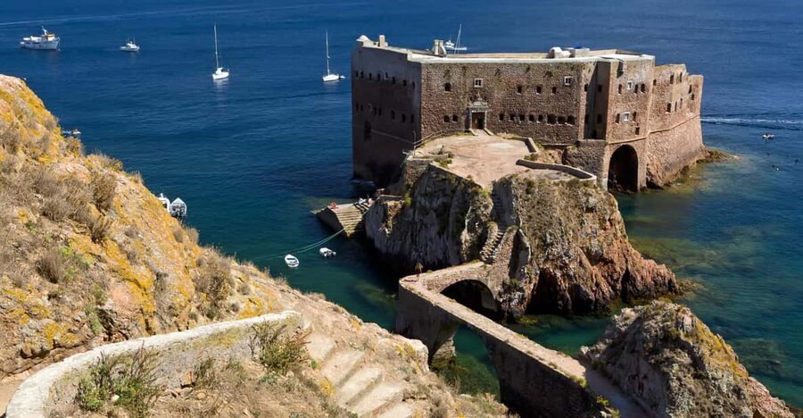 Lisbon: Berlenga Island Full Day Tour - Getting From Lisbon to Peniche: an 8-hour plan that starts early