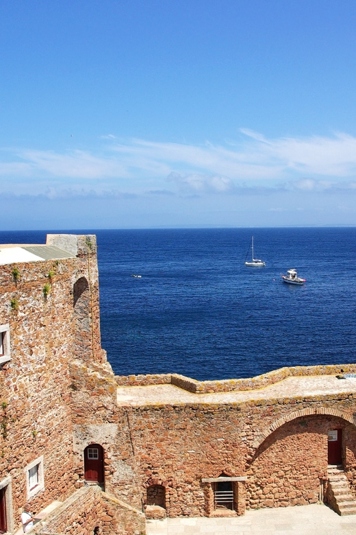 Lisbon: Berlenga Island Full Day Tour - The Berlengas Nature Reserve Walk: about 1 hour of plants and wildlife