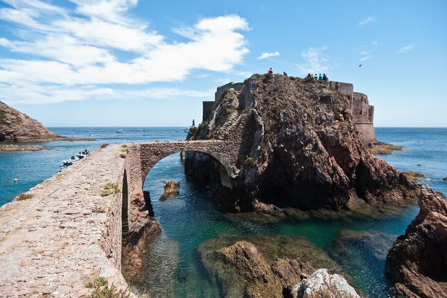 Lisbon: Berlenga Island Full Day Tour - Price and Value at $147: what you’re paying for, and what can cost extra