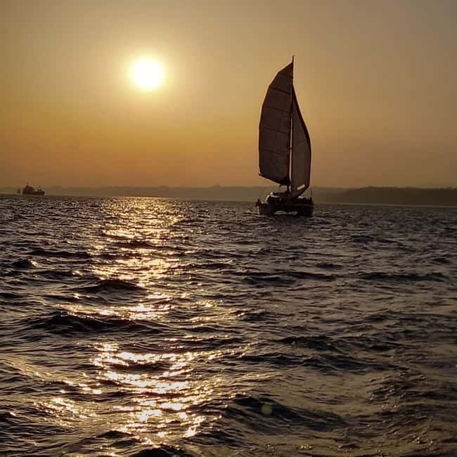 Lisbon: Catamaran Cruise with Drinks & Pastel de Nata - MAAT, Belém Tower, and the Monument to the Discoveries in one long visual story