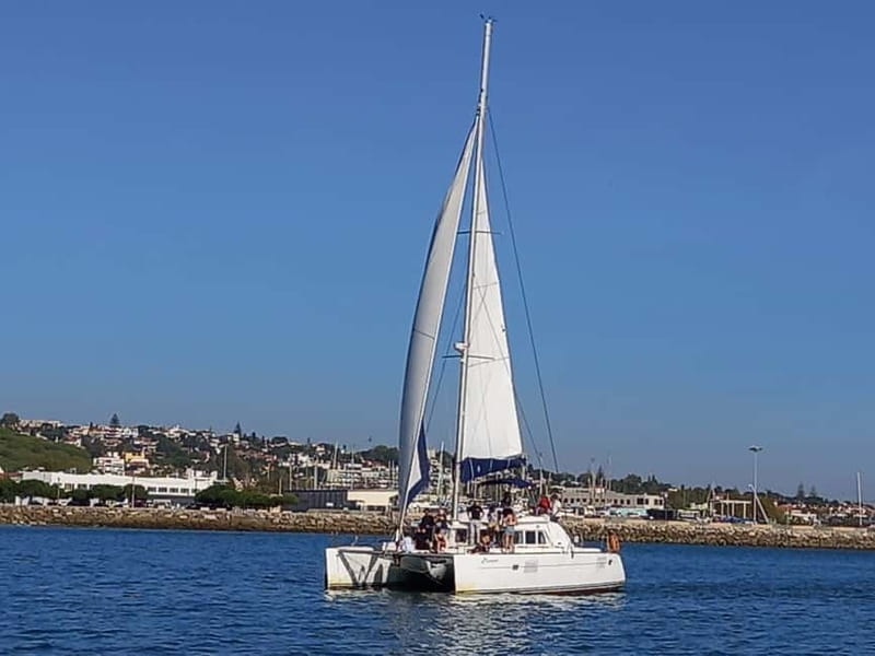 Lisbon: Catamaran Cruise with Drinks & Pastel de Nata - Champalimaud Foundation and the quieter side of the river