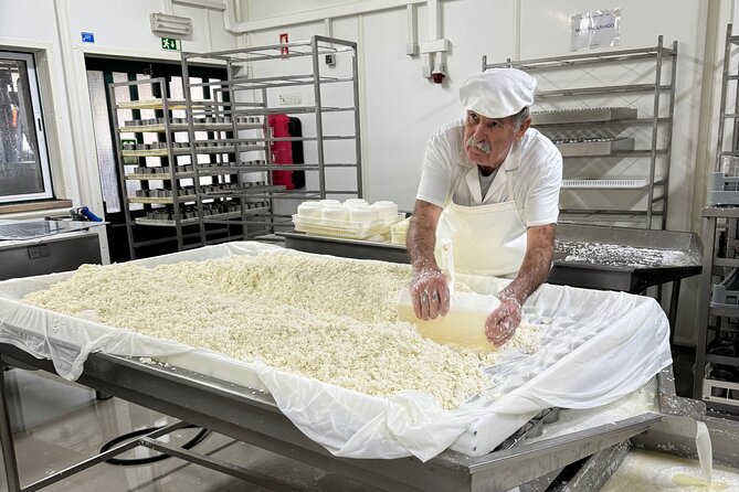 Lisbon Cheese Factory Visit, Wine Tasting and Tile Painting Tour - Sheep cheese factory time in Alcochete
