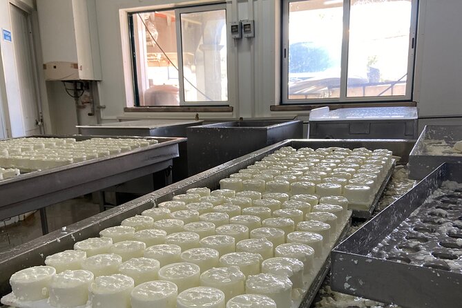 Lisbon Cheese Factory Visit, Wine Tasting and Tile Painting Tour - Who this private tour suits best