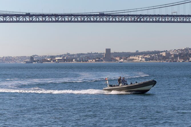 Lisbon: Dolphin Watching with a Marine Biologist - Ocean Safari - Dolphin Watching That’s Guided, Not Guesswork