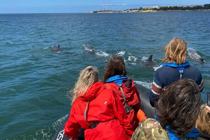 Lisbon: Dolphin Watching with Marine Biologist - Small Group - Boat comfort and sea-sickness tips that actually help