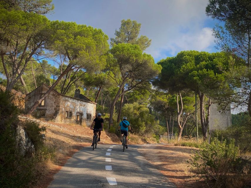 Lisbon: E-bike Trip from the Sintra Mountains to Cascais Sea - Key things I’d bank on before you go