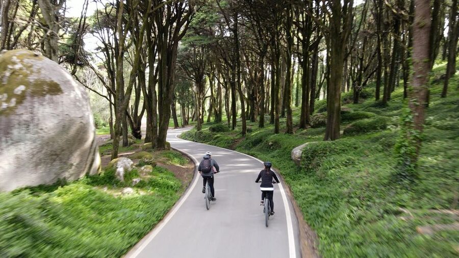 Lisbon: E-bike Trip from the Sintra Mountains to Cascais Sea - Climbing into the Sintra Forest: animals, gardens, and a cool fountain stop