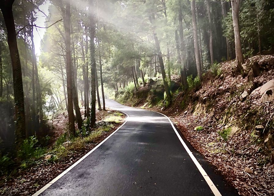Lisbon: E-bike Trip from the Sintra Mountains to Cascais Sea - Bike quality and guiding style: why Rodrigo and Juliano keep showing up