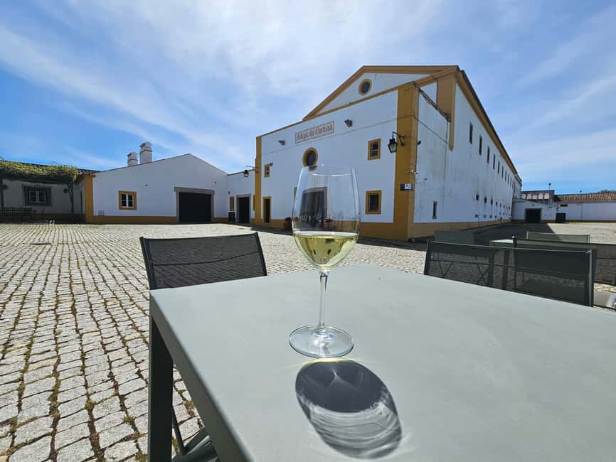 Lisbon: Évora (w/ Cathedral & Bones), Cartuxa & Cork Factory - Chapel of Bones: why this eerie stop hits so hard