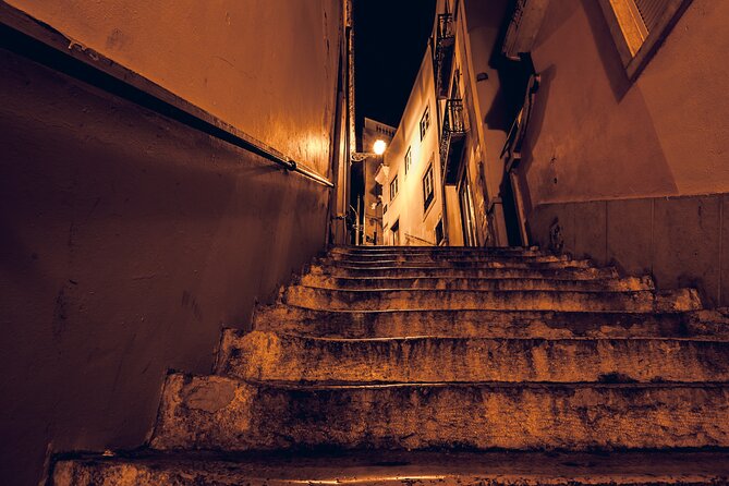 Lisbon Fado Dinner Show and Panoramic Night Tour - Who This Lisbon Fado Dinner Show Is Best For