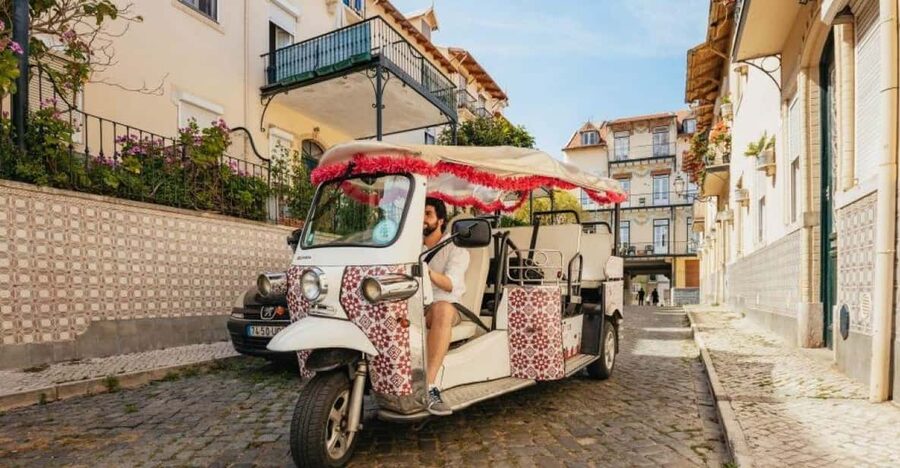 Lisbon: Food and Wine Tasting 4-Hours Tuk Tuk Tour - Estrela Basilica and a big baroque moment