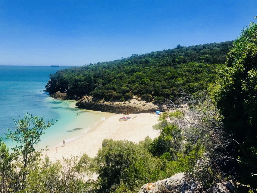 Lisbon: Full-Day Arrabida Kayak Tour with Picnic - Arrabida by Kayak, Not by Bus