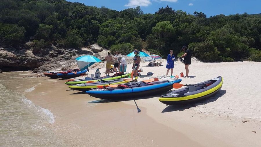 Lisbon: Full-Day Arrabida Kayak Tour with Picnic - Snorkeling Masks Included, Plus the Fish-Spotting Reality