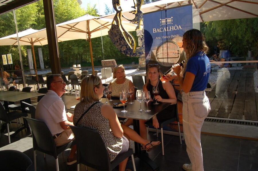 Lisbon Getaway: Private Arrábida Wine & Food Tour - Key highlights to notice before you go