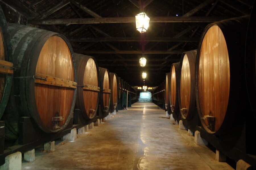 Lisbon Getaway: Private Arrábida Wine & Food Tour - Azeitão walk break: a small town moment between big stops