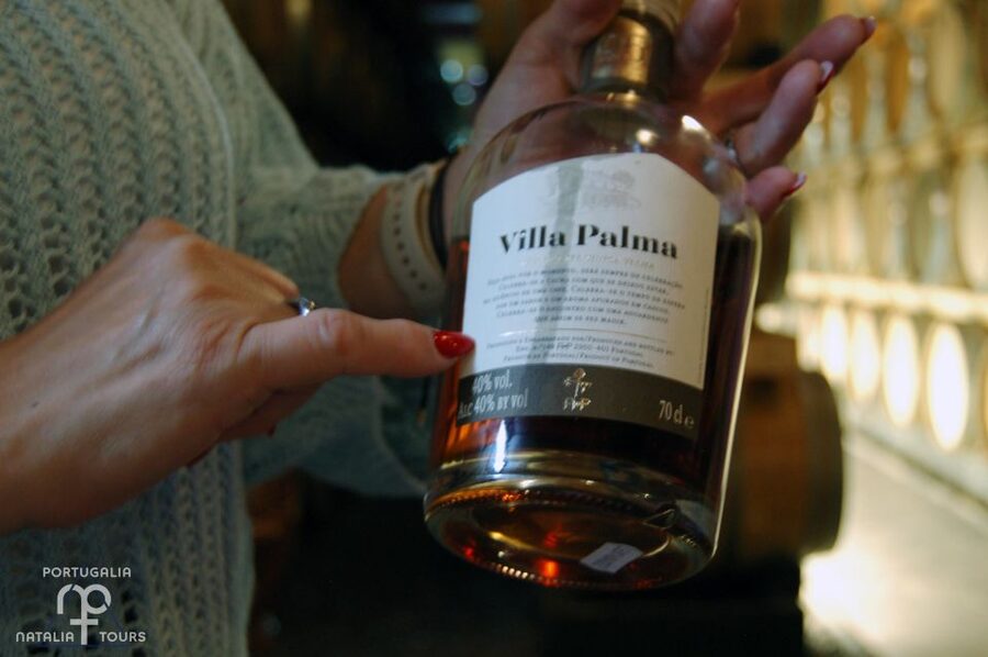 Lisbon Getaway: Private Arrábida Wine & Food Tour - José Maria da Fonseca: a historic centerpiece tasting