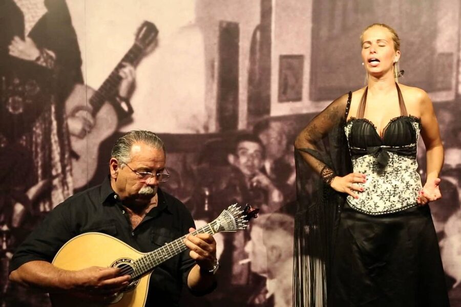 Lisbon: Half-Day Night Group Tour w/ Fado Dinner Show - Price and Value: Is $140 Worth It for a 4-Hour Lisbon Night Tour?