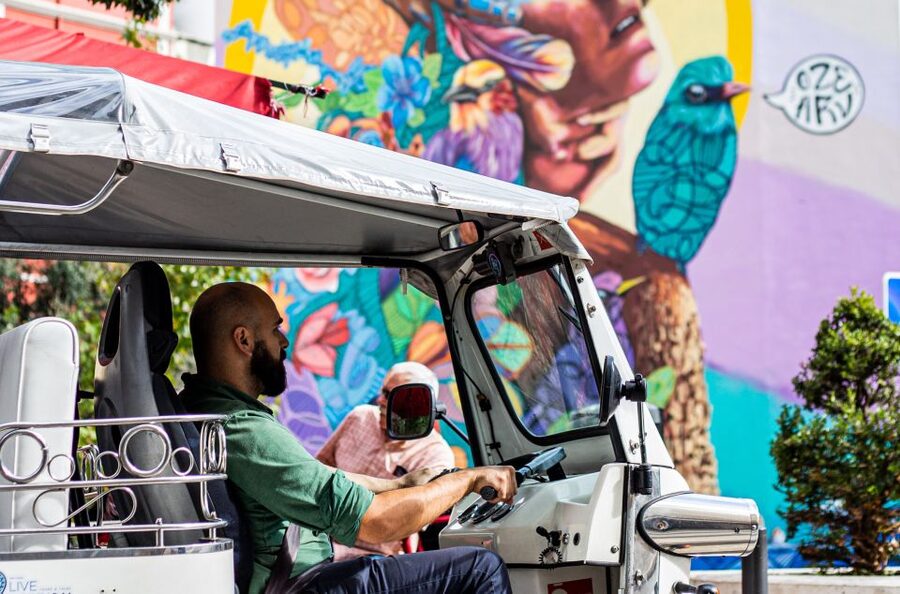 Lisbon: Half-Day Private Guided Tuk-Tuk Tour - São Vicente de Fora, Santa Engrácia, and the Beautiful Side Trips