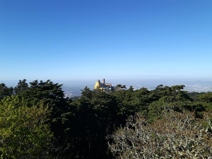 Lisbon: Half-Day Sintra Tour with Pena Palace and Regaleira - The walking reality: why this is active sightseeing