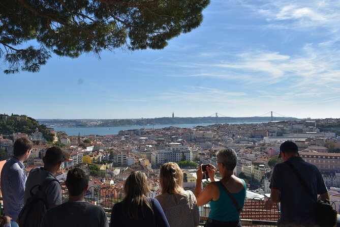 Lisbon Half-day Tour - Miradouros that do the heavy lifting: São Pedro de Alcântara and Parque Eduardo VII