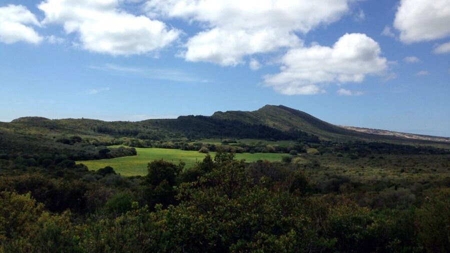 Lisbon: Hiking in Arrábida Natural Park - How hard is it, really: 6 to 8 km with about 130 m of climbing