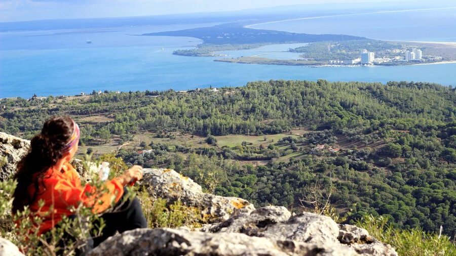 Lisbon: Hiking in Arrábida Natural Park - Your guide’s role: from plant names to practical history