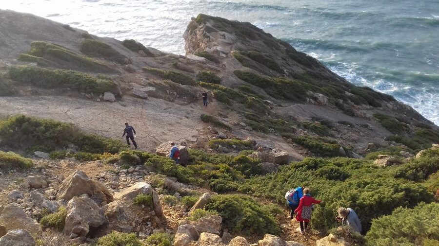 Lisbon: Hiking in Arrábida Natural Park - What the hike actually feels like hour by hour