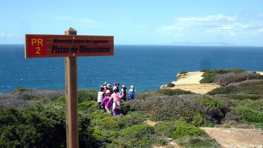 Lisbon: Hiking in Arrábida Natural Park - Practicalities that keep the day smooth