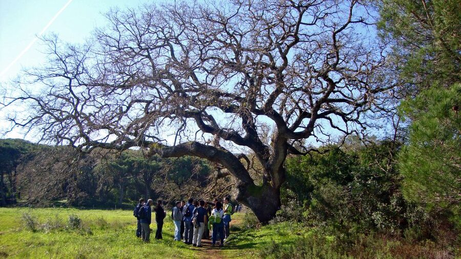 Lisbon: Hiking in Arrábida Natural Park - Price and value: why around $47 can be fair