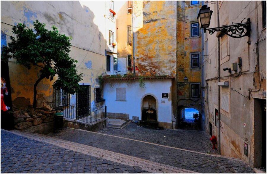 Lisbon: Jewish Quarter Guided Walking Tour - Portas do Sol viewpoint and S. Jorge Castle, seeing the city’s layers