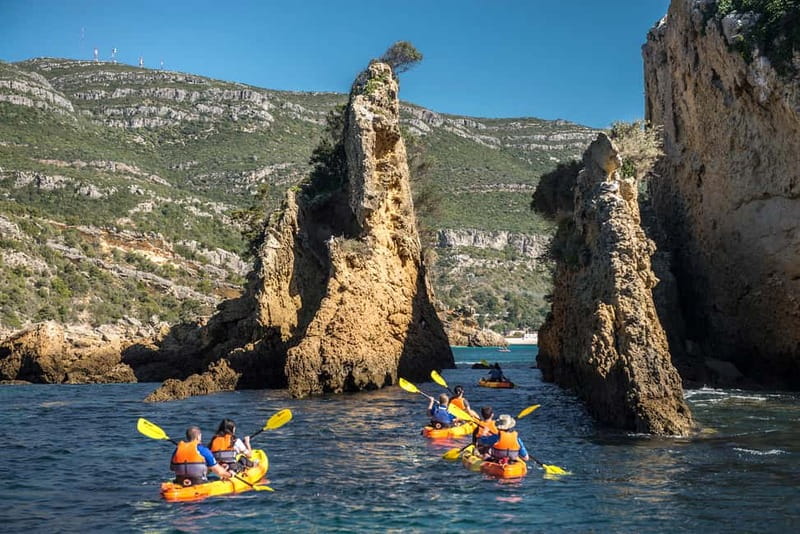 Lisbon: Kayak Tour Arrábida Natural Park, Setubal, Sesimbra - Anicha Island: Getting Close to Marine Wildlife