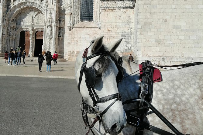 Lisbon Layover - Price at $139.13: what you really get in a short window