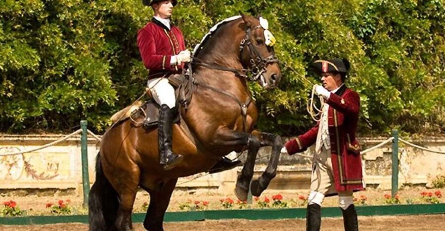 Lisbon: Morning of Equestrian Art with Lusitano Horses - Key things I’d circle before you go