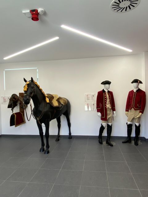 Lisbon: Morning of Equestrian Art with Lusitano Horses - Getting there and checking in: the ticket you must show