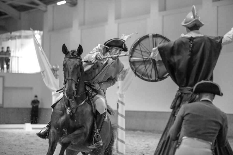 Lisbon: Morning of Equestrian Art with Lusitano Horses - The Portuguese School of Equestrian Art connection, and why Alter Real is part of it