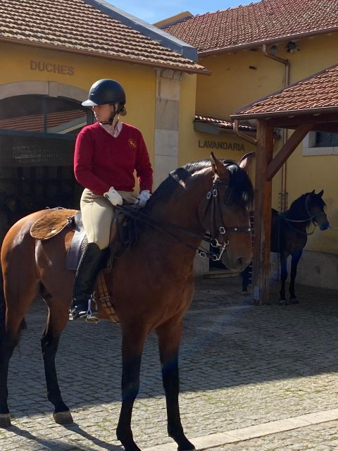 Lisbon: Morning of Equestrian Art with Lusitano Horses - Audio guide: how you turn watching into understanding