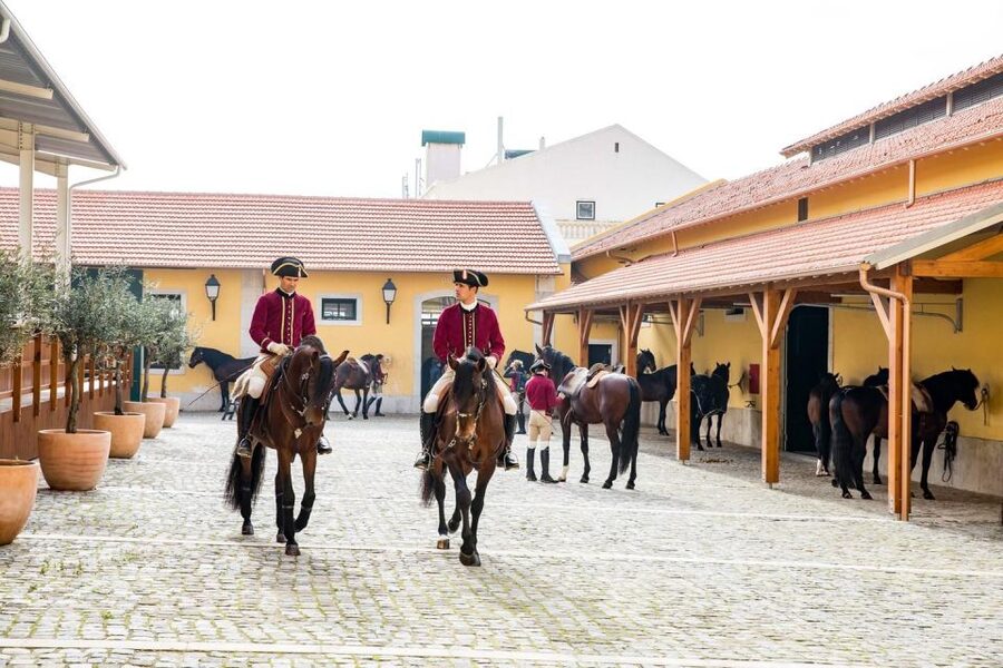 Lisbon: Morning of Equestrian Art with Lusitano Horses - Price and value: what $17 buys you in Lisbon terms