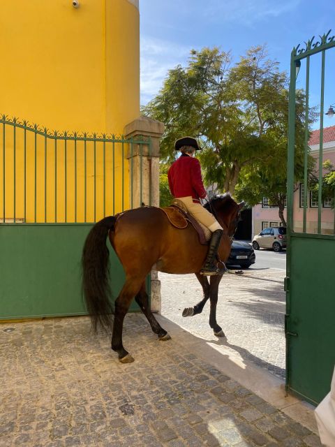 Lisbon: Morning of Equestrian Art with Lusitano Horses - What to bring (and what to avoid) so the morning stays smooth