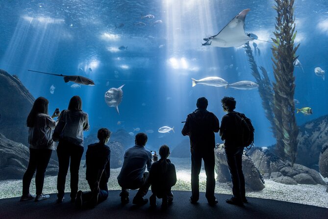 Lisbon Oceanario: Aquarium Entrance Ticket - Key highlights worth knowing