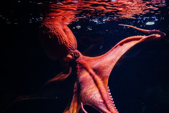 Lisbon Oceanario: Aquarium Entrance Ticket - The included exhibitions: Takashi Amano’s Forests Underwater and Submerged Universe